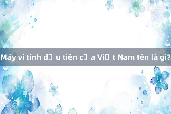 Máy vi tính đầu tiên của Việt Nam tên là gì?