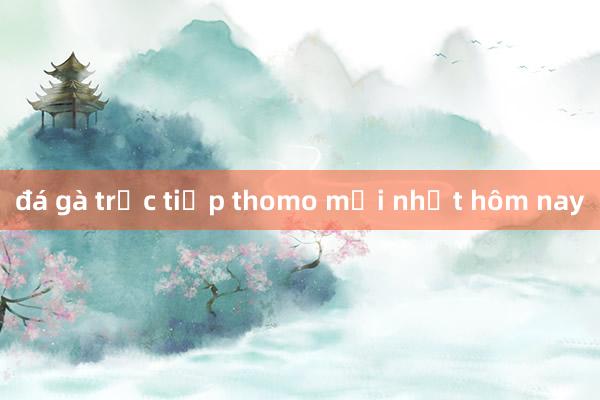 đá gà trực tiếp thomo mới nhất hôm nay