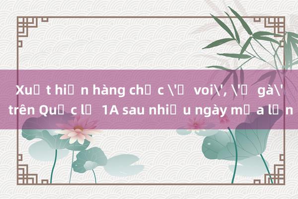 Xuất hiện hàng chục 'ổ voi'， 'ổ gà' trên Quốc lộ 1A sau nhiều ngày mưa lớn