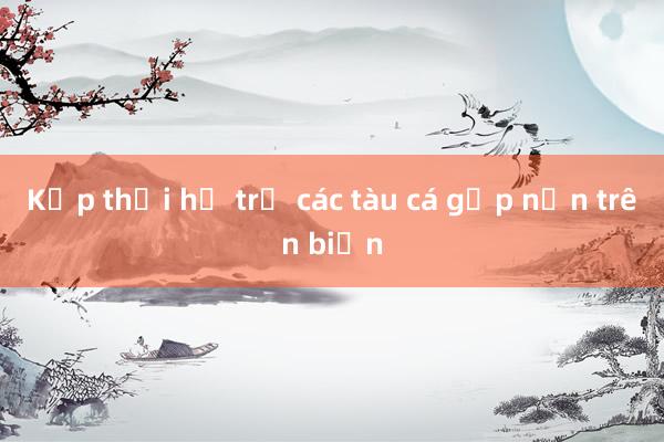 Kịp thời hỗ trợ các tàu cá gặp nạn trên biển