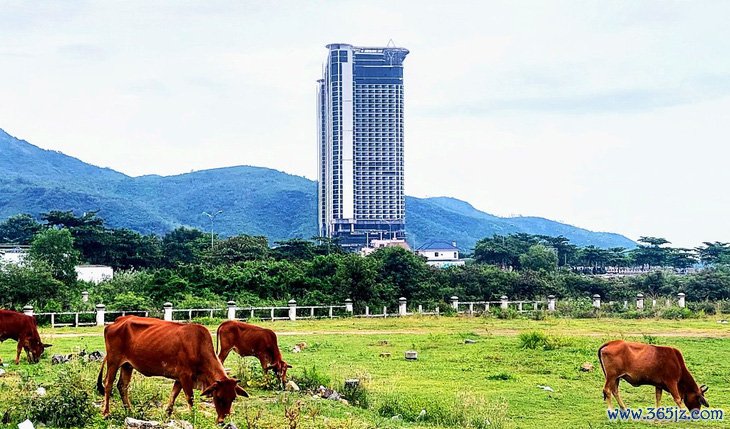 Sở đề nghị thu hồi đất tỉnh cho 2 doanh nghiệp thuê không đúng đối tượng ở Nha Trang - Ảnh 4.